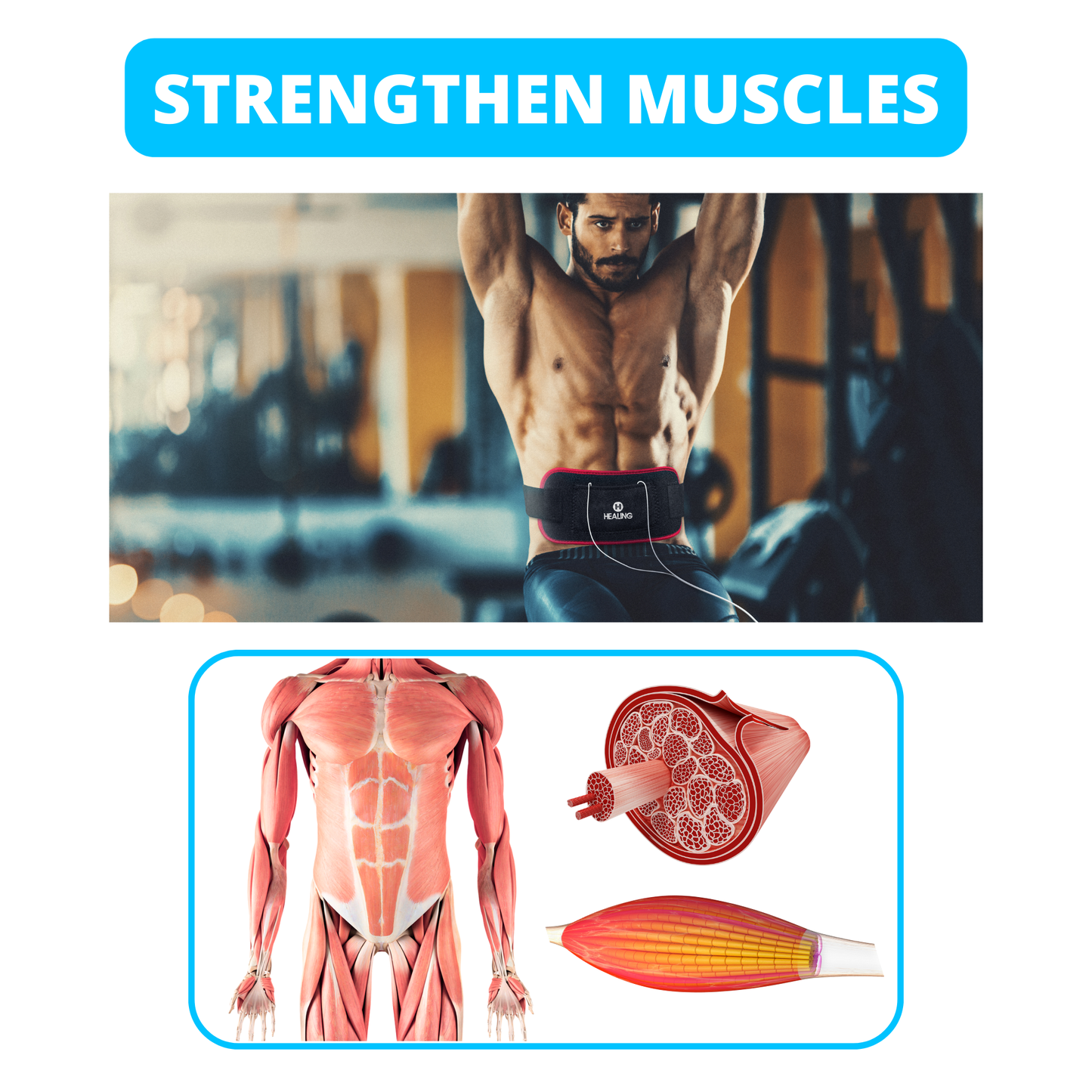 Muscle Toning Belt - For TENS Units